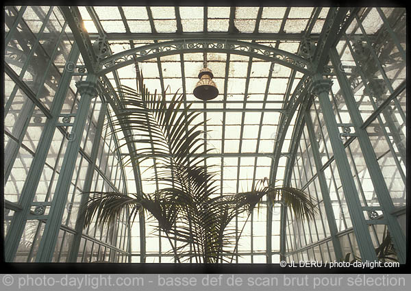 serres royales de Laeken (Bruxelles)
Royal Greenhouses of Laeken (Brussels)